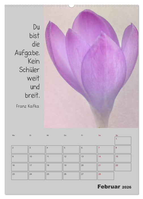 Motivationshilfe (CALVENDO Premium Wandkalender 2026)