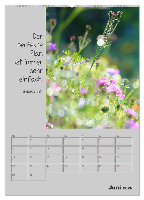 Motivationshilfe (CALVENDO Premium Wandkalender 2026)