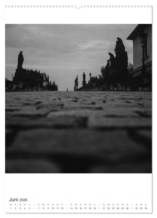 Prag - Praha - Prague (CALVENDO Premium Wandkalender 2026)