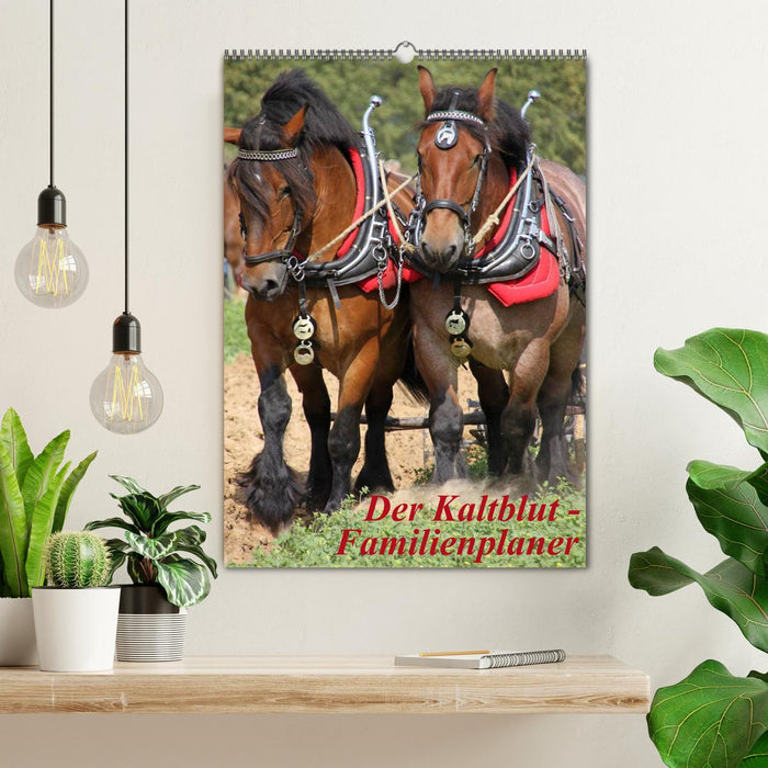 Der Kaltblut-Familienplaner (CALVENDO Wandkalender 2026)