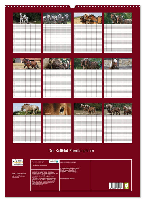 Der Kaltblut-Familienplaner (CALVENDO Wandkalender 2026)