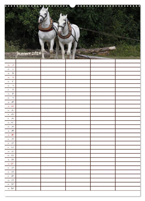 Der Kaltblut-Familienplaner (CALVENDO Wandkalender 2026)