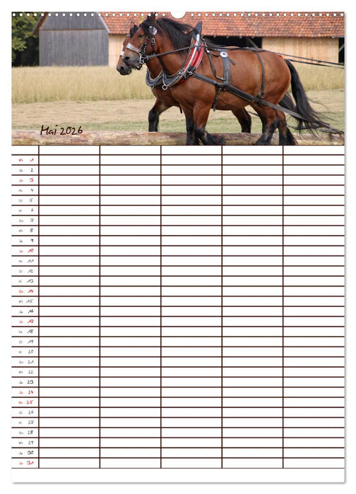 Der Kaltblut-Familienplaner (CALVENDO Wandkalender 2026)