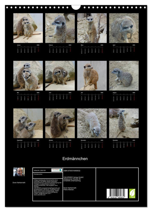 Erdmännchen (CALVENDO Wandkalender 2026)