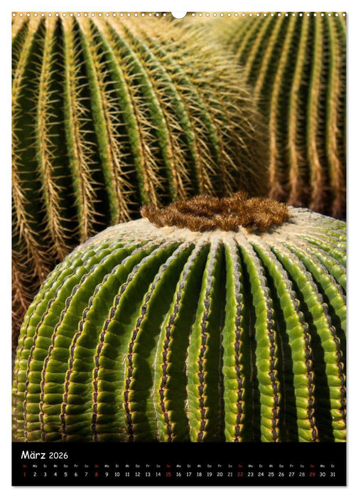 Lanzarote (CALVENDO Premium Wandkalender 2026)