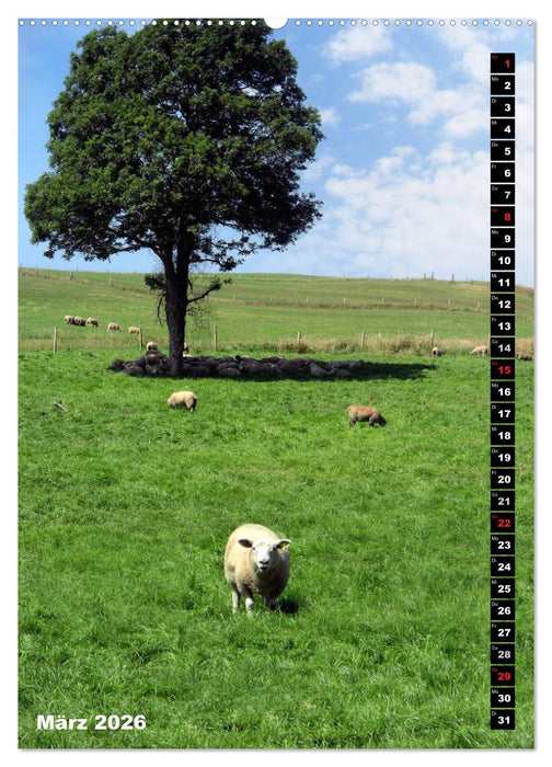 Traumhaftes Irland (CALVENDO Premium Wandkalender 2026)