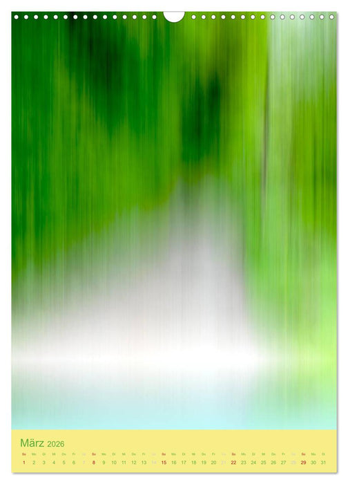 Augenblicke im Licht (CALVENDO Wandkalender 2026)