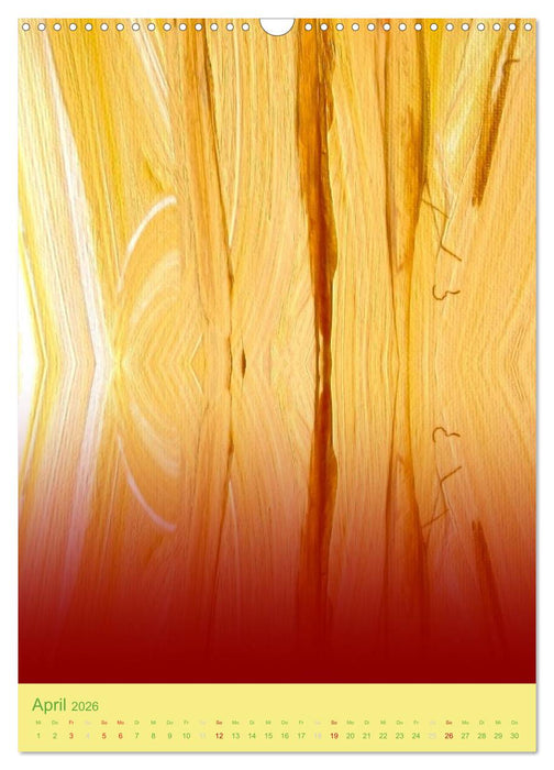 Augenblicke im Licht (CALVENDO Wandkalender 2026)