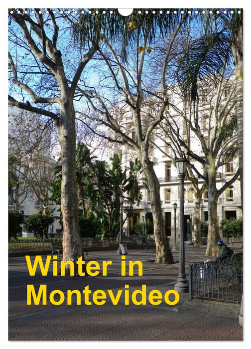 Winter in Montevideo (CALVENDO Wandkalender 2026)