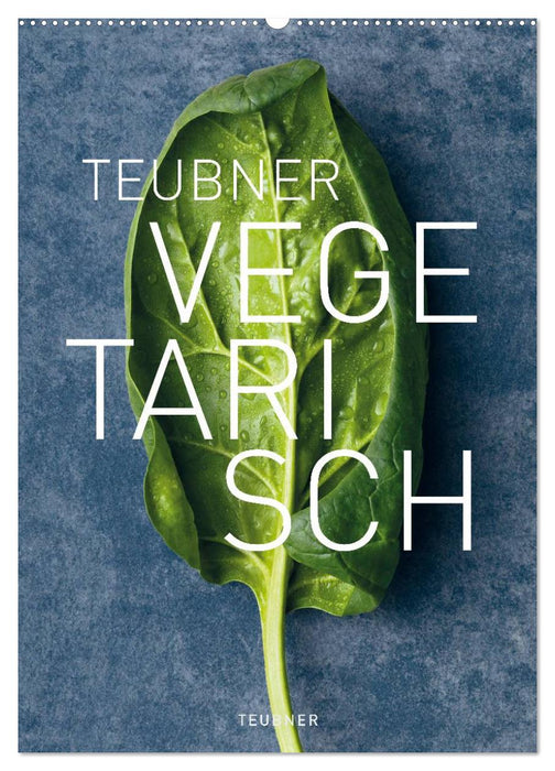 TEUBNER VEGETARISCH (CALVENDO Wandkalender 2026)