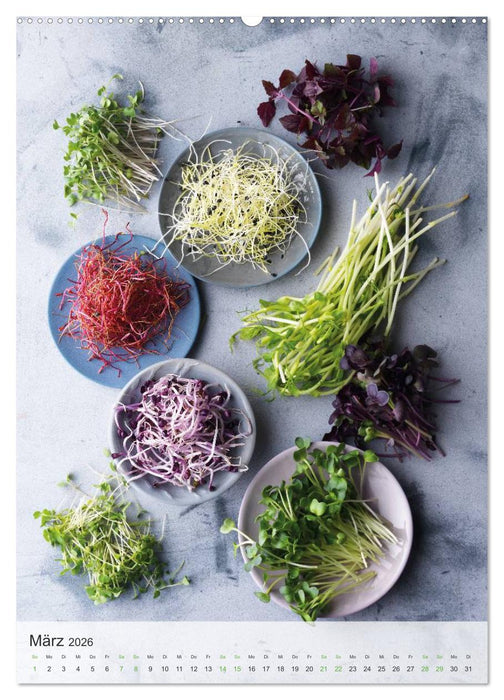 TEUBNER VEGETARISCH (CALVENDO Wandkalender 2026)