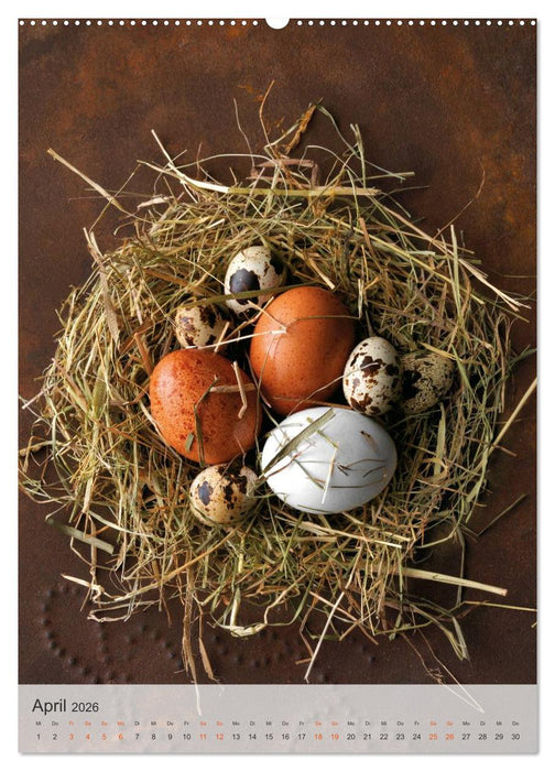 TEUBNER VEGETARISCH (CALVENDO Wandkalender 2026)