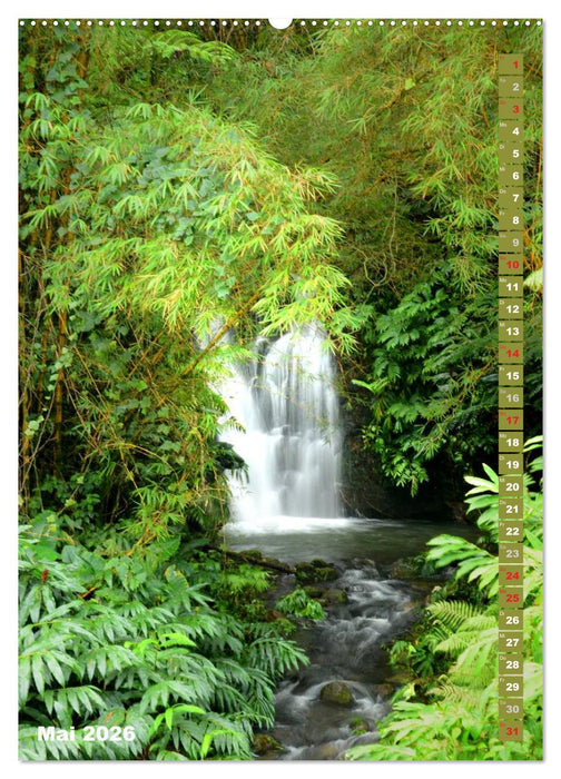 Aloha - Wasser auf Hawaii (CALVENDO Premium Wandkalender 2026)