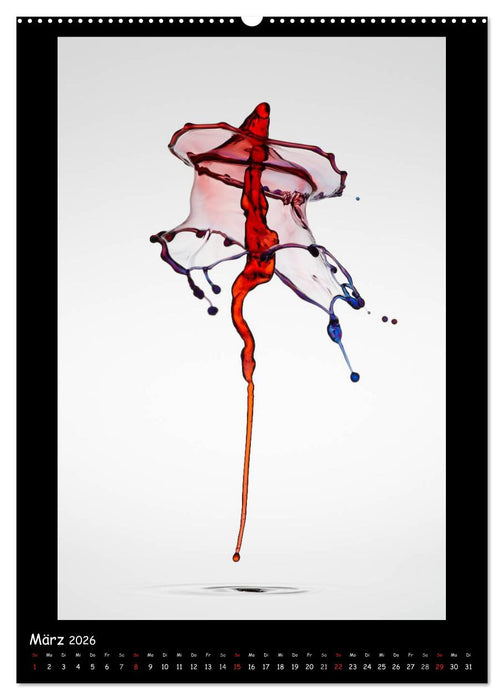 Außergewöhnliche Kunst - Wasser Tropfenfotografie (CALVENDO Premium Wandkalender 2026)
