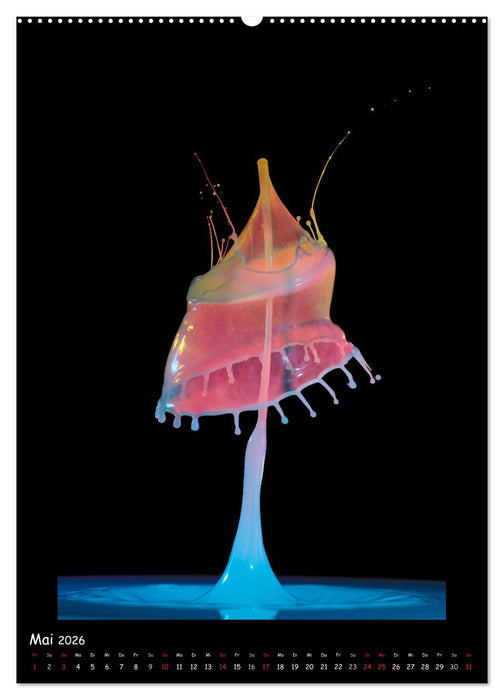 Außergewöhnliche Kunst - Wasser Tropfenfotografie (CALVENDO Premium Wandkalender 2026)