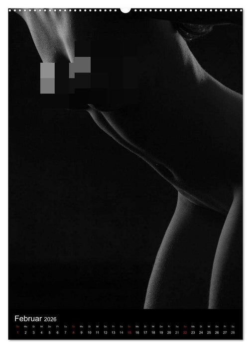 Erotische Silhouetten / CH-Version (CALVENDO Wandkalender 2026)