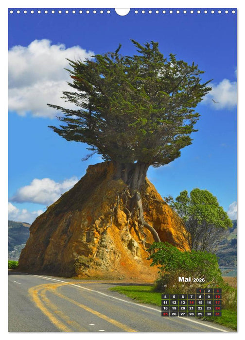 Reise durch Neuseeland (CALVENDO Wandkalender 2026)