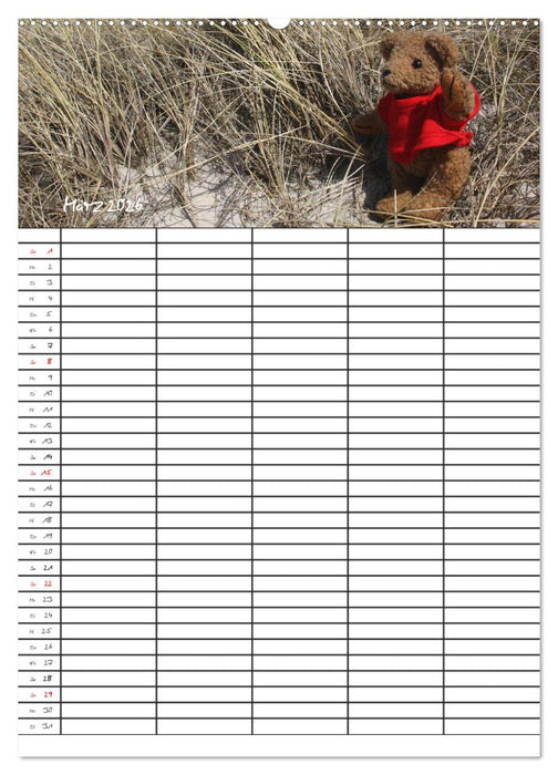 Der Teddybären-Familienplaner (CALVENDO Premium Wandkalender 2026)
