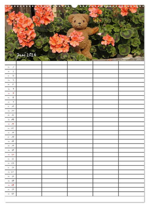 Der Teddybären-Familienplaner (CALVENDO Premium Wandkalender 2026)
