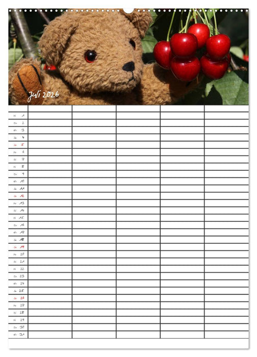 Der Teddybären-Familienplaner (CALVENDO Premium Wandkalender 2026)