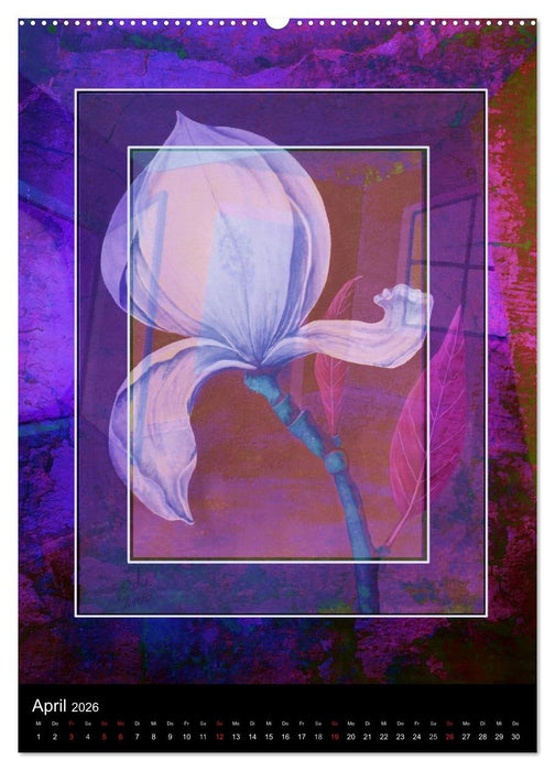 Träume im Raum (CALVENDO Premium Wandkalender 2026)