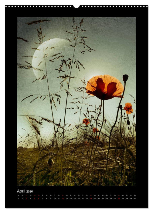 Welt der Träume (CALVENDO Wandkalender 2026)