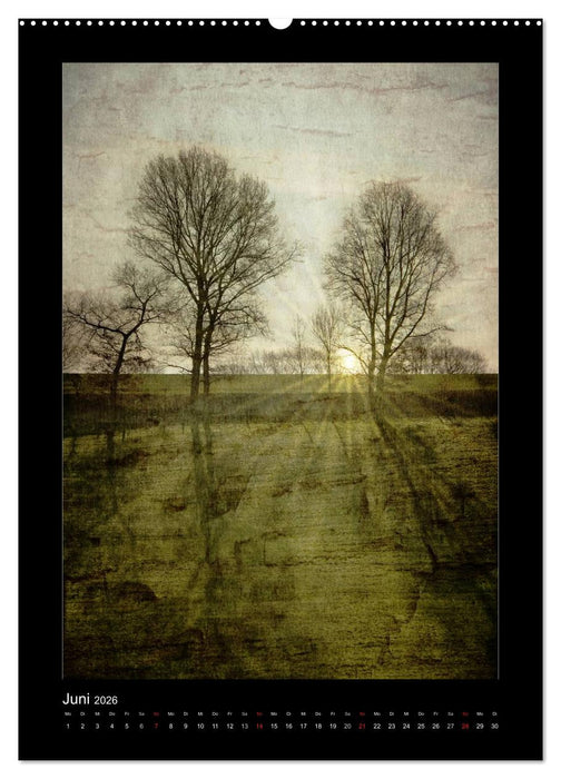 Welt der Träume (CALVENDO Wandkalender 2026)