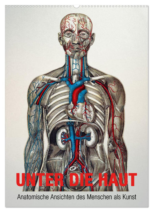Unter die Haut (CALVENDO Wandkalender 2026)
