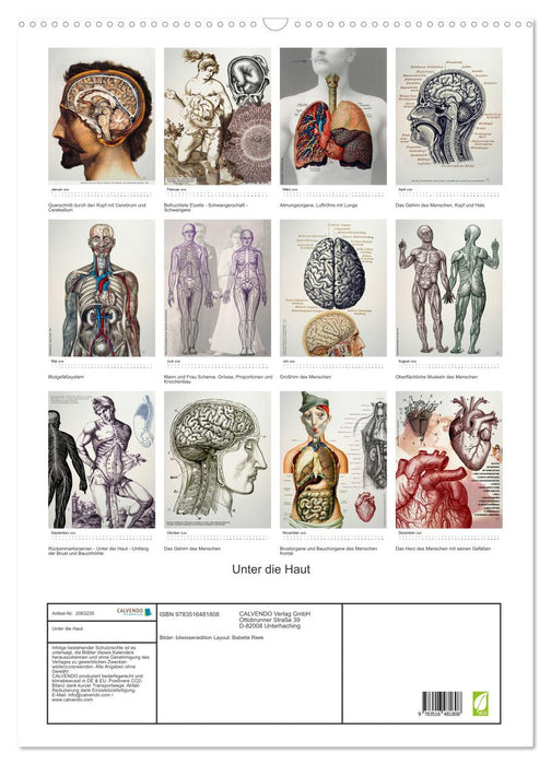 Unter die Haut (CALVENDO Wandkalender 2026)