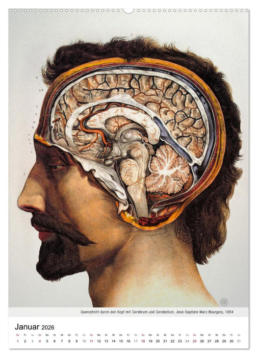 Unter die Haut (CALVENDO Wandkalender 2026)