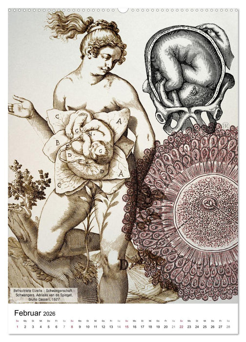 Unter die Haut (CALVENDO Wandkalender 2026)