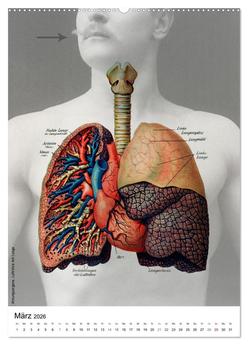 Unter die Haut (CALVENDO Wandkalender 2026)