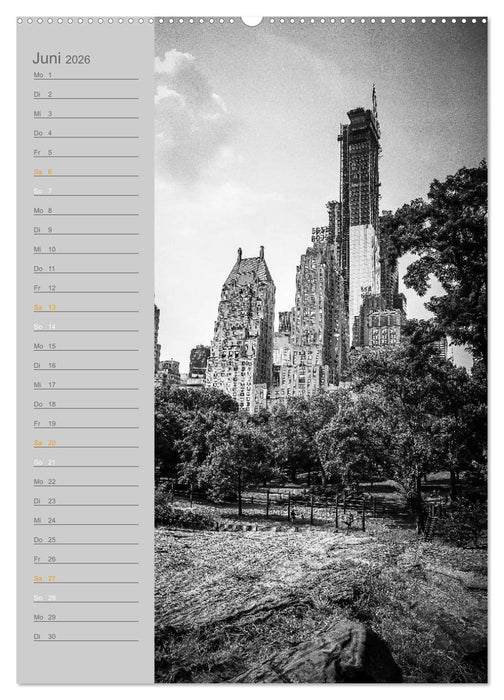 New York Vertical (CALVENDO Wandkalender 2026)