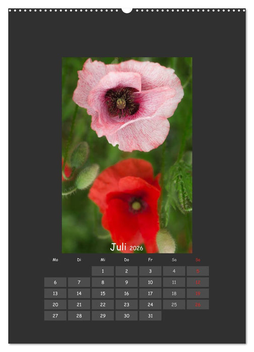 Mohn (CALVENDO Premium Wandkalender 2026)