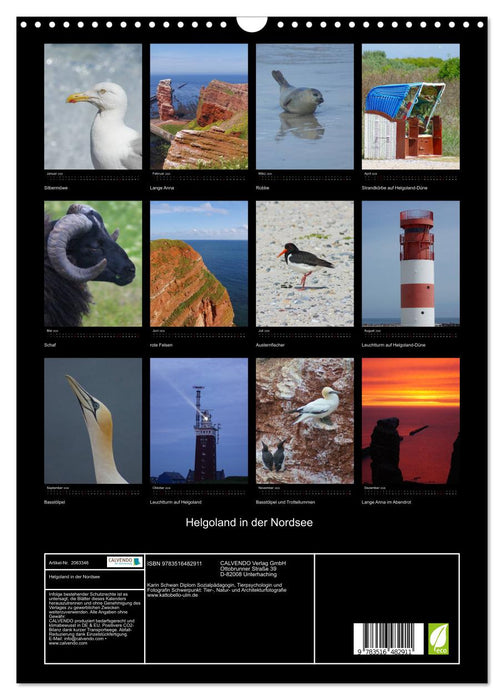 Helgoland in der Nordsee (CALVENDO Wandkalender 2026)