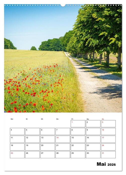 Usedom - Inseltraum im Norden (CALVENDO Premium Wandkalender 2026)