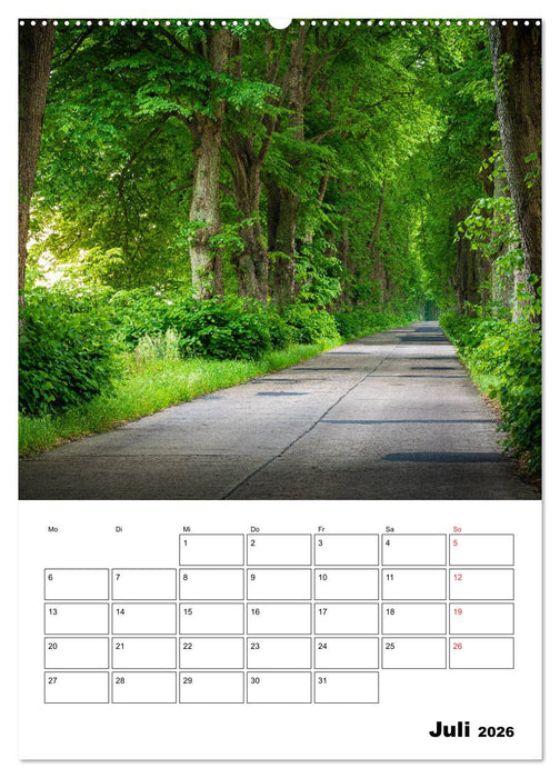 Usedom - Inseltraum im Norden (CALVENDO Premium Wandkalender 2026)