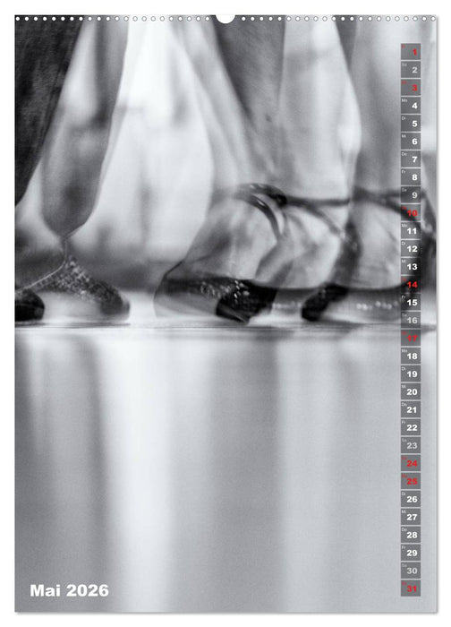 TANZ! (CALVENDO Premium Wandkalender 2026)