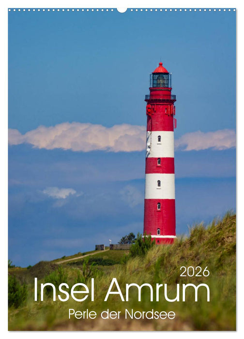 Insel Amrum (CALVENDO Wandkalender 2026)