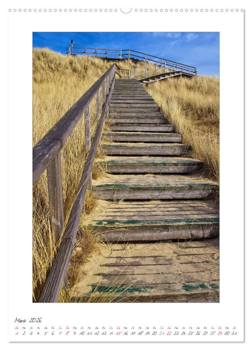 Insel Amrum (CALVENDO Wandkalender 2026)