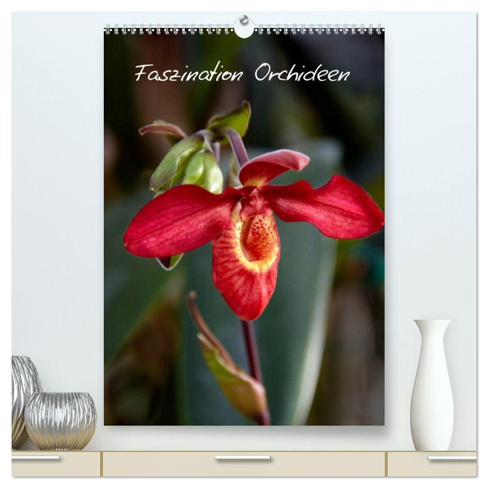 Faszination Orchideen (CALVENDO Premium Wandkalender 2026)