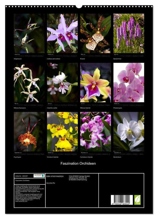 Faszination Orchideen (CALVENDO Premium Wandkalender 2026)