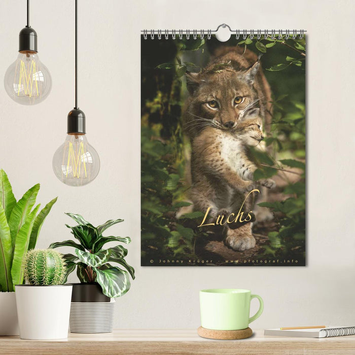 Luchs (CALVENDO Wandkalender 2026)