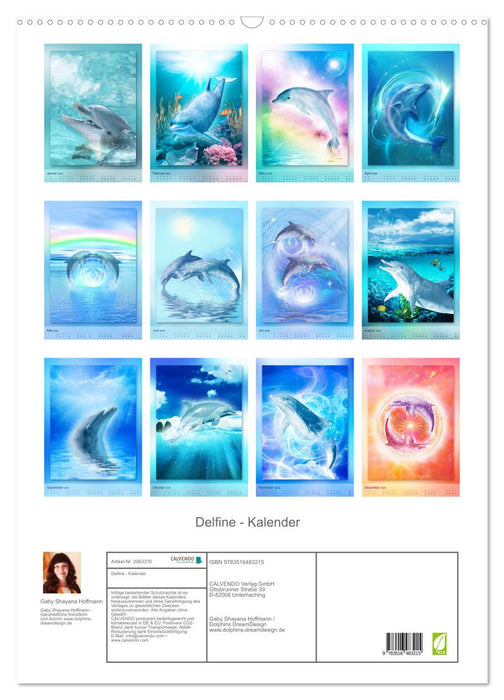 Delfine - Kalender (CALVENDO Wandkalender 2026)