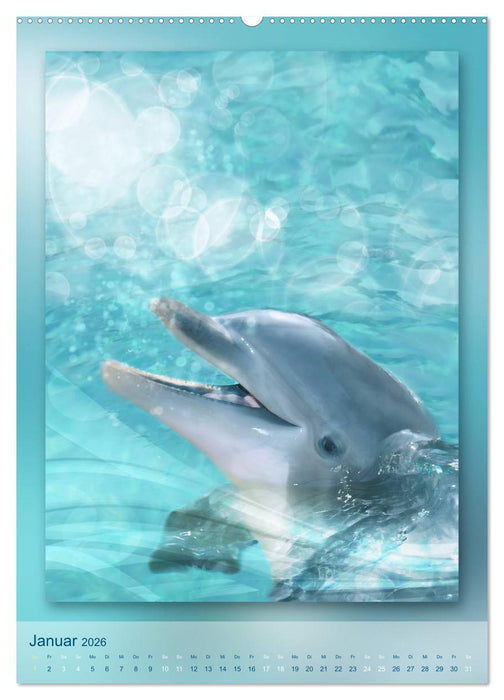 Delfine - Kalender (CALVENDO Wandkalender 2026)