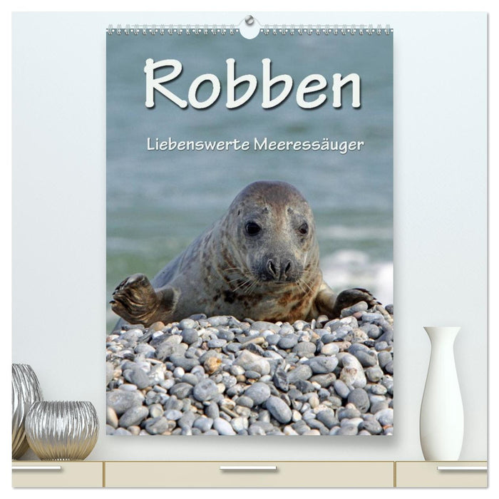 Robben (CALVENDO Premium Wandkalender 2026)