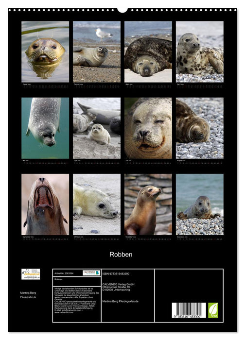 Robben (CALVENDO Premium Wandkalender 2026)