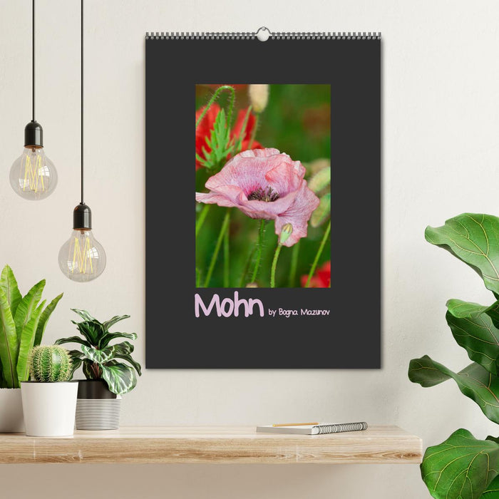 Mohn (CALVENDO Wandkalender 2026)