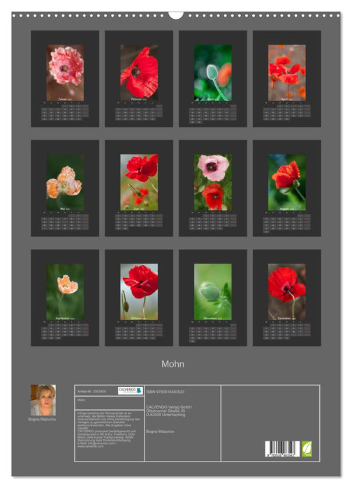 Mohn (CALVENDO Wandkalender 2026)