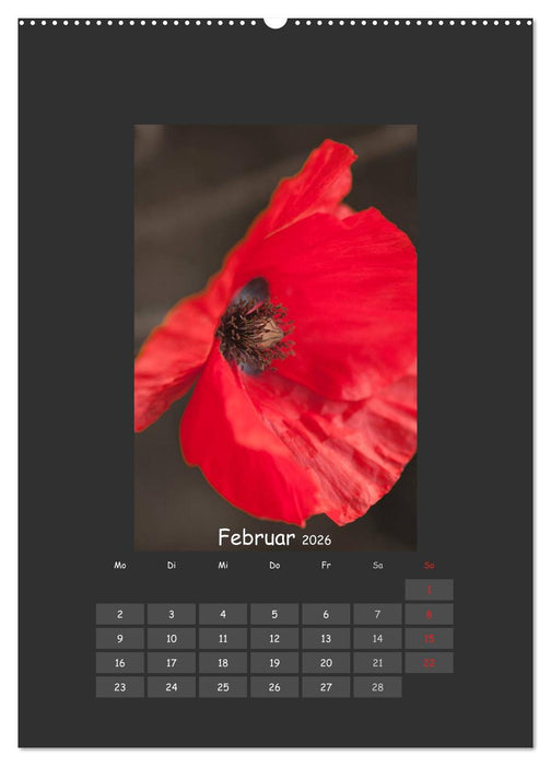 Mohn (CALVENDO Wandkalender 2026)
